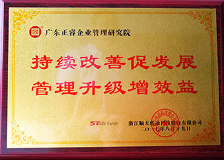 2017年2月至2018年1月浙江順天減速機(jī)制程有限公司管理升級項目