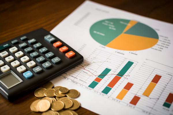 強化集團管控：財務(wù)，人力資源，信息技術(shù)的整合