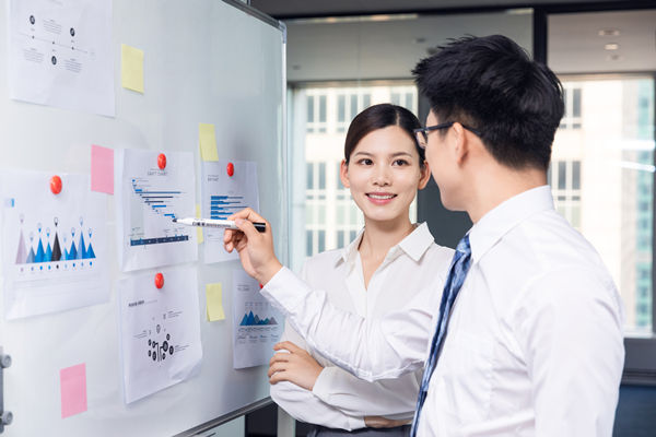 組織咨詢：協(xié)助企業(yè)制定組織發(fā)展戰(zhàn)略，推動組織成長