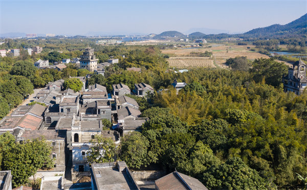 江門管理咨詢公司如何定制高效解決方案？