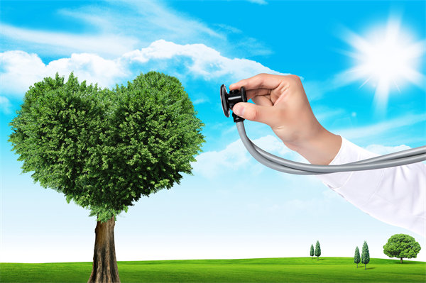 員工福利設(shè)計新思維：如何平衡成本效益與員工滿意度？