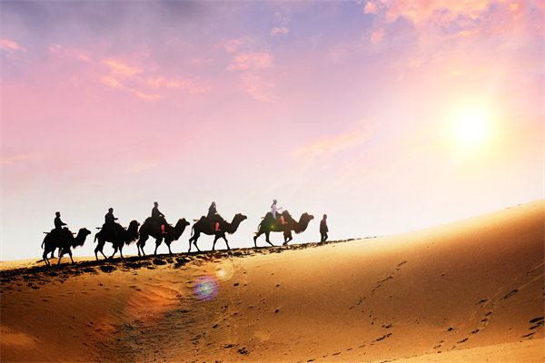 企業(yè)文化在人力資源管理中，扮演著怎樣的角色？