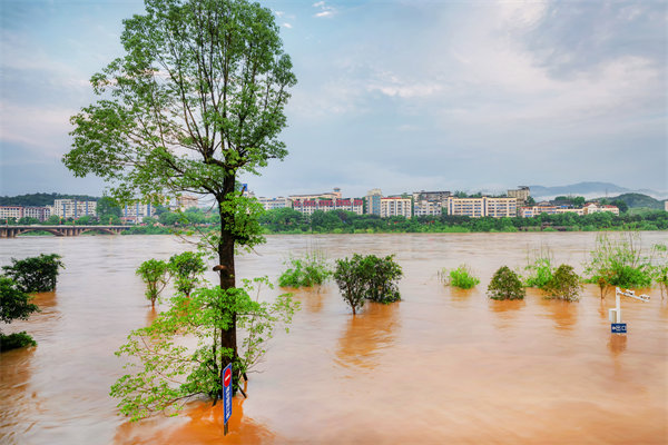 供應(yīng)鏈韌性建設(shè)：面對(duì)自然災(zāi)害的應(yīng)急計(jì)劃與恢復(fù)力？