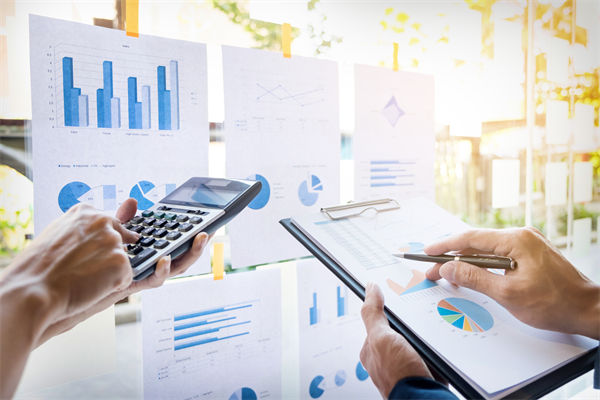 在預(yù)算執(zhí)行中，如何確保監(jiān)控與調(diào)整機(jī)制的有效性？