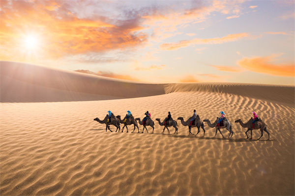 企業(yè)文化管理失效？這三大認(rèn)知誤區(qū)為何拖垮團(tuán)隊(duì)？