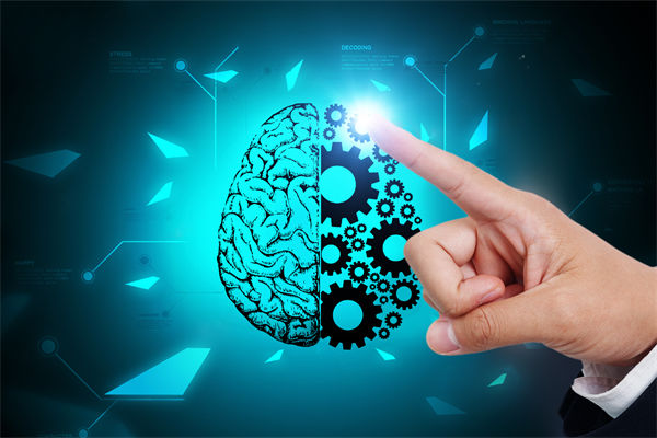 人力資源管理流程規(guī)范嚴(yán)謹(jǐn)，員工創(chuàng)造力為何反而受抑制？