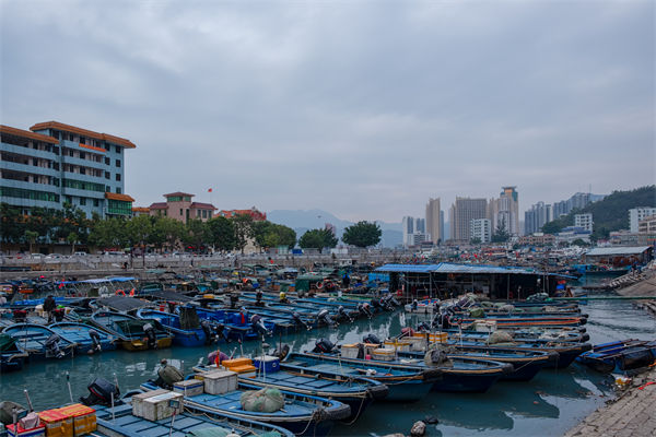 精益生產分析：開海第一網撈8000斤，船長合不攏嘴