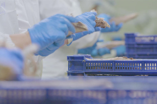 本土駐廠精益生產(chǎn)咨詢哪家強(qiáng)，能快速提升產(chǎn)線流轉(zhuǎn)效率么？