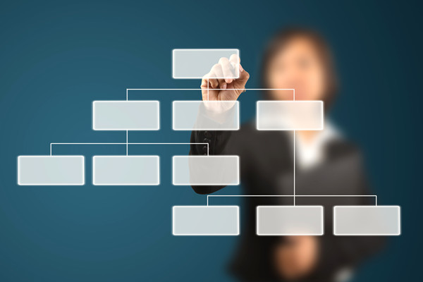 哪家組織規(guī)劃咨詢公司落地最好，能搭建適配發(fā)展的組織體系？